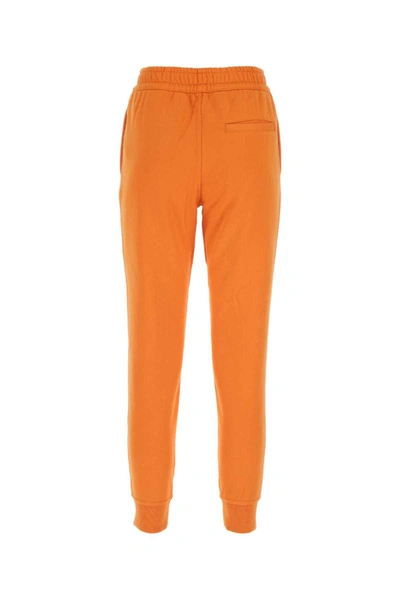 Shop Burberry Pants In Orange