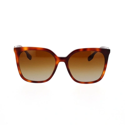 Shop Burberry Sunglasses In Havana