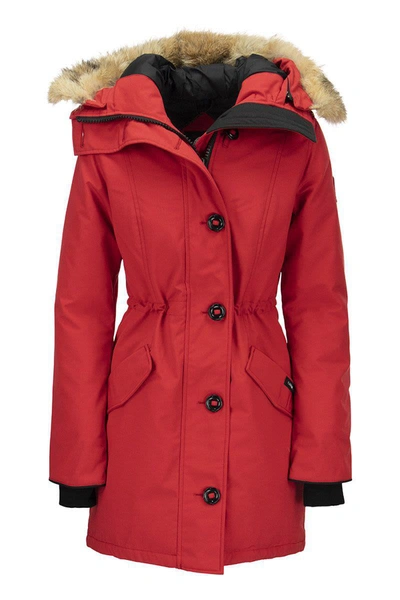 Shop Canada Goose Rossclair - Parka With Hood And Fur Coat In Red