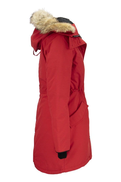Shop Canada Goose Rossclair - Parka With Hood And Fur Coat In Red
