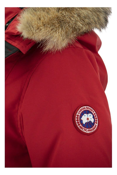 Shop Canada Goose Rossclair - Parka With Hood And Fur Coat In Red