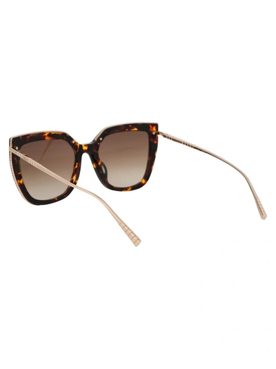 Shop Chopard Sunglasses In 0745 Havana