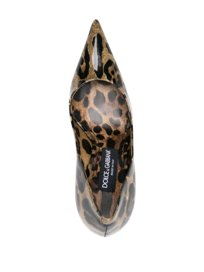 Shop Dolce & Gabbana Leopard-print Pumps In Marrone E Nero