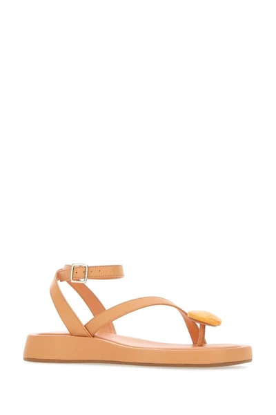 Shop Gia Couture Sandals In Orange