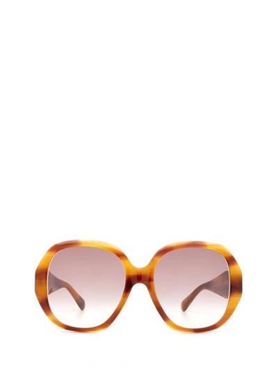 Shop Gucci Eyewear Sunglasses In Havana