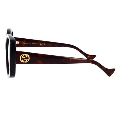 Gucci Eyewear Sunglasses In Havana