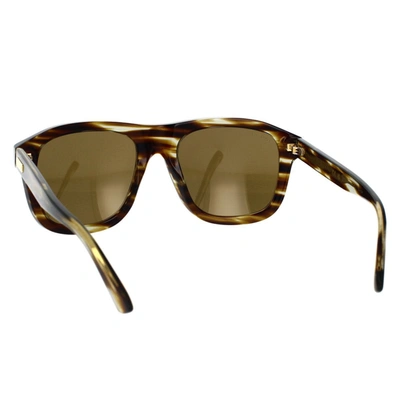 Shop Gucci Eyewear Sunglasses In Havana