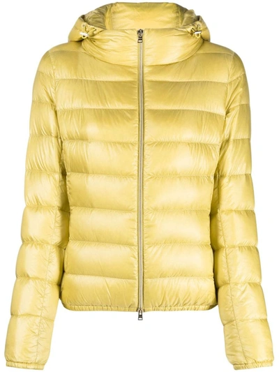 Herno Bicolor Polyamide Full-length Jacket In Yellow