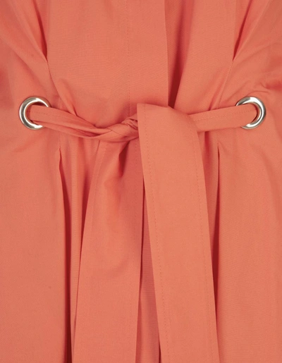 Shop Max Mara Dresses In Orange