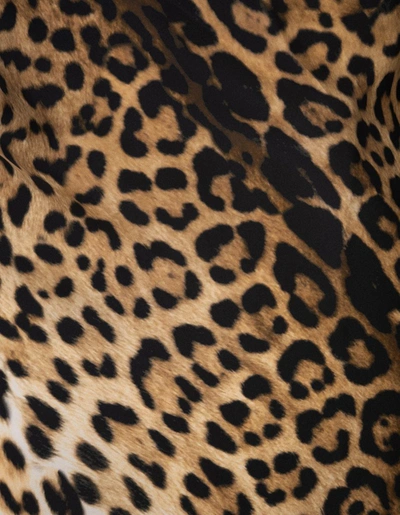 Shop Roberto Cavalli Leopard Print Dress With Asymmetrical Hem In Brown
