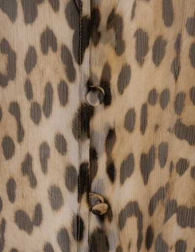 Shop Roberto Cavalli Leopard Print Silk Shirt With Lavalliere Collar In Brown