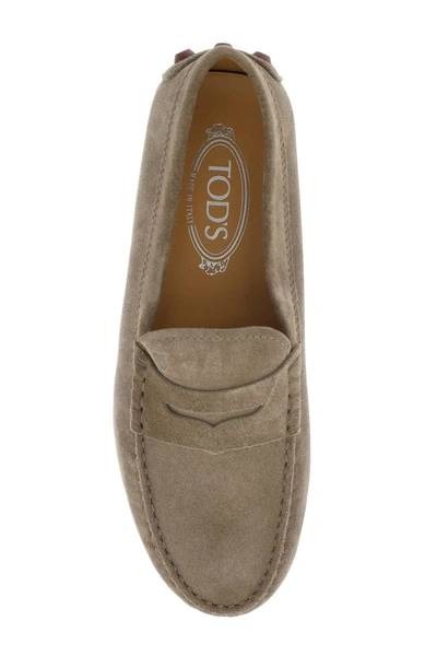 Shop Tod's 'bubble' Loafers In Brown