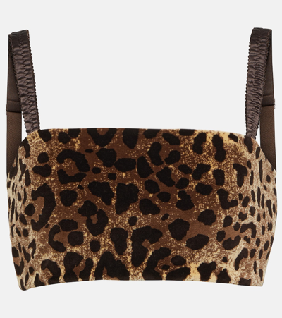 Shop Dolce & Gabbana Leopard-print Velvet Crop Top In Multicoloured
