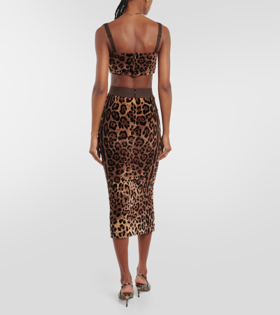Dolce & Gabbana Leopard-print Velvet Crop Top In Multicoloured