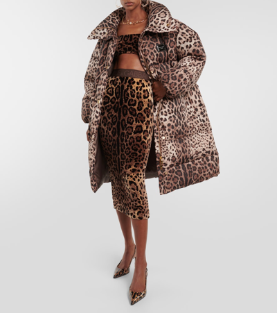 Dolce & Gabbana Leopard-print Velvet Crop Top In Multicoloured