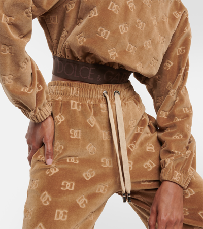 Shop Dolce & Gabbana Dg Cropped Velvet Sweatshirt In Brown