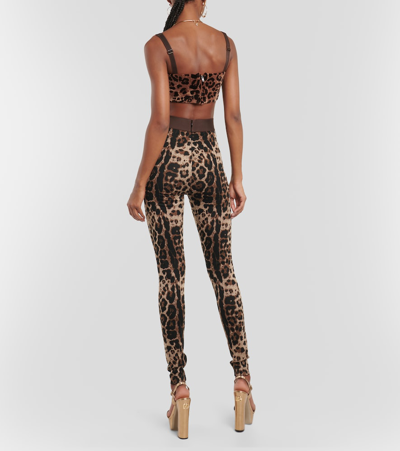 Shop Dolce & Gabbana High-rise Leopard-print Leggings In Multicoloured