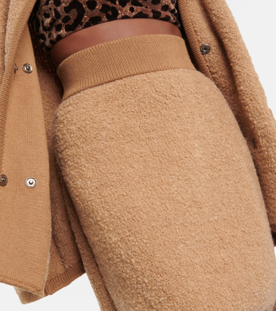 Shop Dolce & Gabbana High-rise Alpaca And Cashmere Miniskirt In Brown