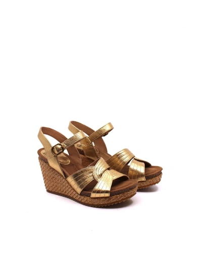 Shop Söfft Women's Clarissa Wedge Sandal In Gold
