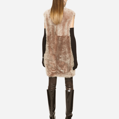Shop Dolce & Gabbana Shiny Satin Leggings With Branded Elastic In Brown