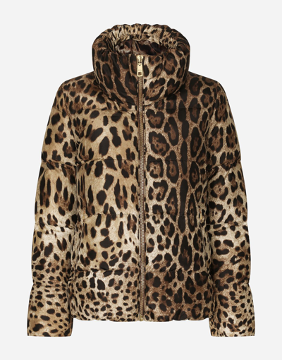 Dolce & Gabbana Leopard Print Stand Collar Puffer Jacket In Animal Print