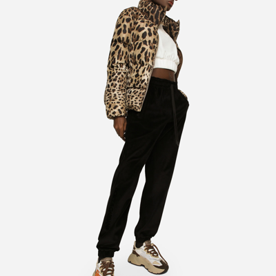 Shop Dolce & Gabbana Padded Leopard-print Nylon Jacket In Animal Print
