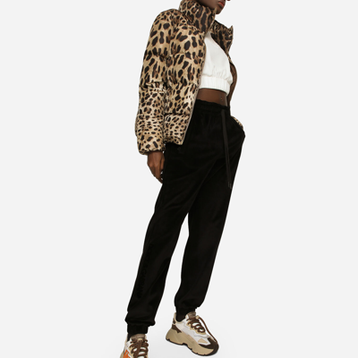 Dolce & Gabbana Leopard Print Stand Collar Puffer Jacket In Animal Print