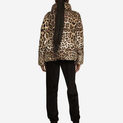 Shop Dolce & Gabbana Padded Leopard-print Nylon Jacket In Animal Print