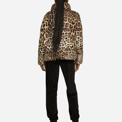 Dolce & Gabbana Leopard Print Stand Collar Puffer Jacket In Animal Print