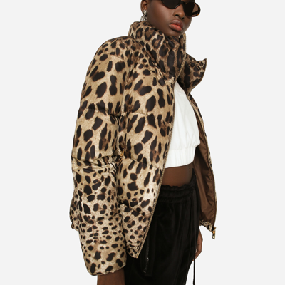 Dolce & Gabbana Leopard Print Stand Collar Puffer Jacket In Animal Print