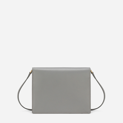 Shop Dolce & Gabbana Dg Logo Crossbody Bag In Grey