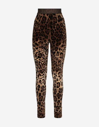 Dolce & Gabbana High Waist Leopard Print Cotton Blend Leggings In Multicolor
