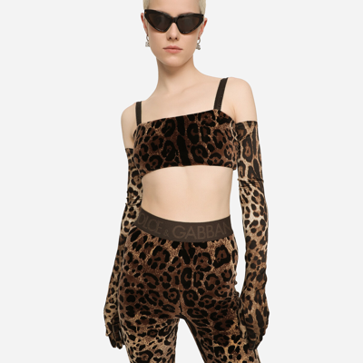 Shop Dolce & Gabbana Chenille Leggings With Jacquard Leopard Design In Multicolor