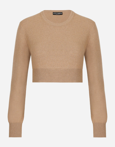 Shop Dolce & Gabbana Cropped Wool And Cashmere Round-neck Sweater In Beige