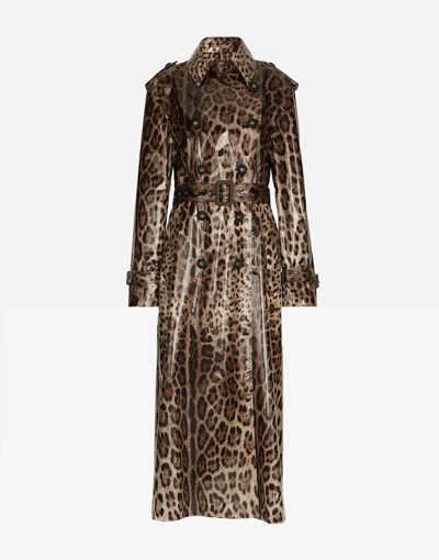 Shop Dolce & Gabbana Leopard-print Coated Sateen Trench Coat In Animal Print
