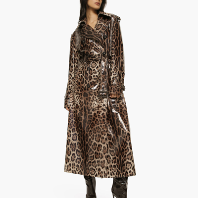 Shop Dolce & Gabbana Leopard-print Coated Sateen Trench Coat In Animal Print