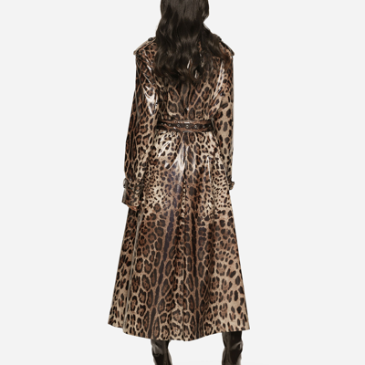 Shop Dolce & Gabbana Leopard-print Coated Sateen Trench Coat In Animal Print