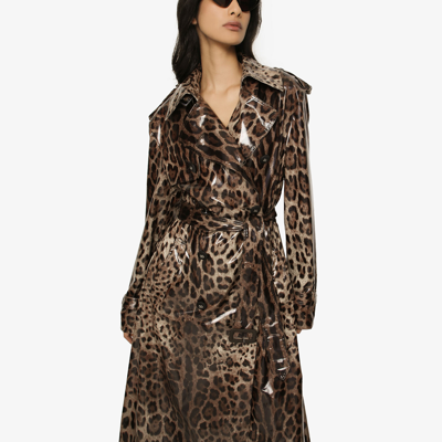 Shop Dolce & Gabbana Leopard-print Coated Sateen Trench Coat In Animal Print