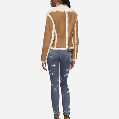 Dolce & Gabbana Short Shearling Jacket In Beige