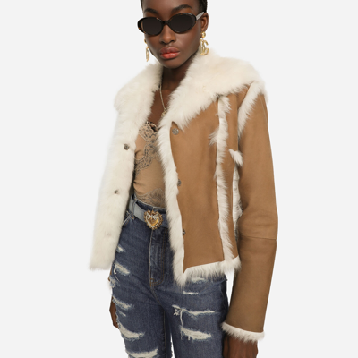 Dolce & Gabbana Short Shearling Jacket In Beige