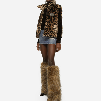 Dolce & Gabbana Logo-plaque Leopard-print Gilet In Animal Print