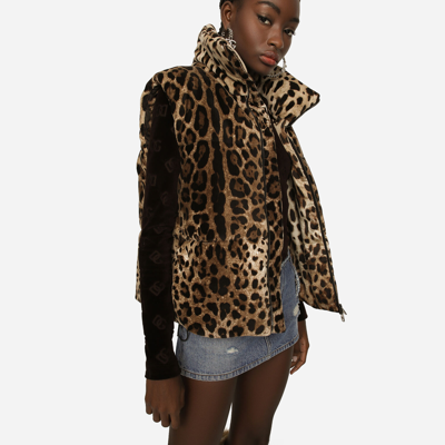 Shop Dolce & Gabbana Sleeveless Leopard-print Jacket With Logo Tag In Animal Print