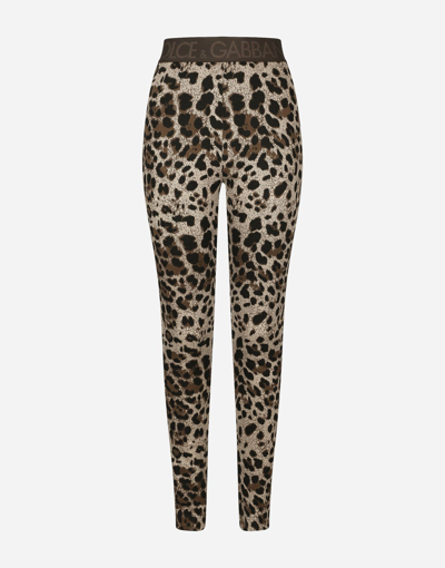 Shop Dolce & Gabbana Jersey Leggings With Jacquard Leopard Design In Multicolor