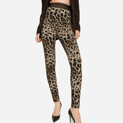 Shop Dolce & Gabbana Jersey Leggings With Jacquard Leopard Design In Multicolor