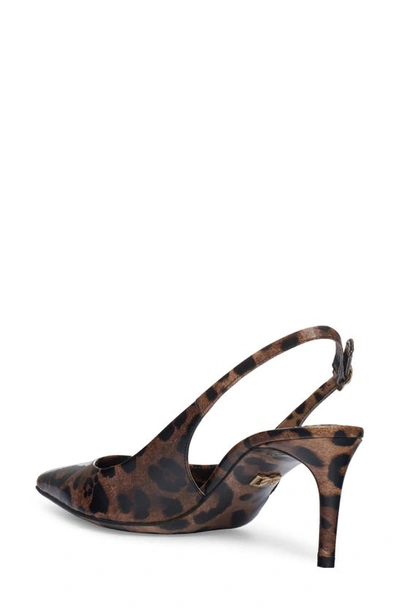 Shop Dolce & Gabbana Lollo Leopard Print Pointed Toe Slingback Pump In Brown Print Leopard