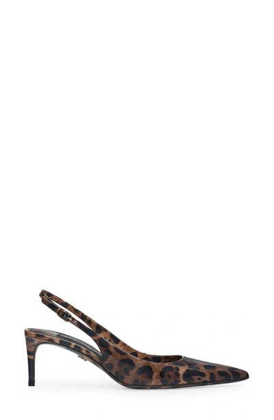 Shop Dolce & Gabbana Lollo Leopard Print Pointed Toe Slingback Pump In Brown Print Leopard