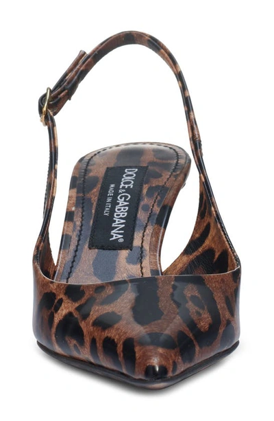 Shop Dolce & Gabbana Lollo Leopard Print Pointed Toe Slingback Pump In Brown Print Leopard