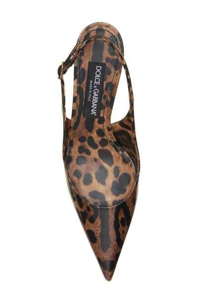 Shop Dolce & Gabbana Lollo Leopard Print Pointed Toe Slingback Pump In Brown Print Leopard