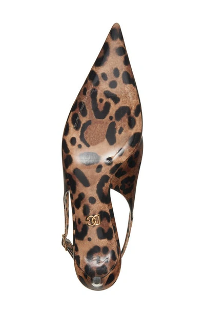 Shop Dolce & Gabbana Lollo Leopard Print Pointed Toe Slingback Pump In Brown Print Leopard