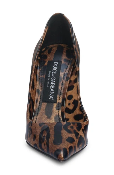 Shop Dolce & Gabbana Lollo Pointed Toe Pump In Brown Print Leopard